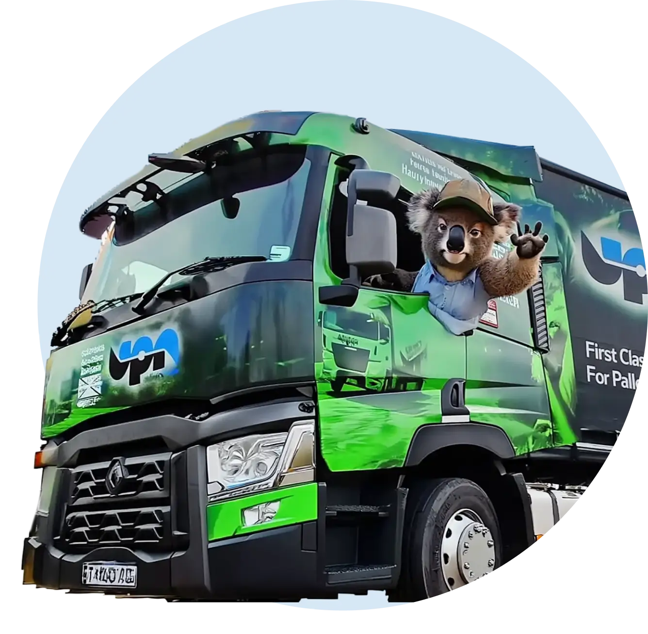 koala driving a lorry